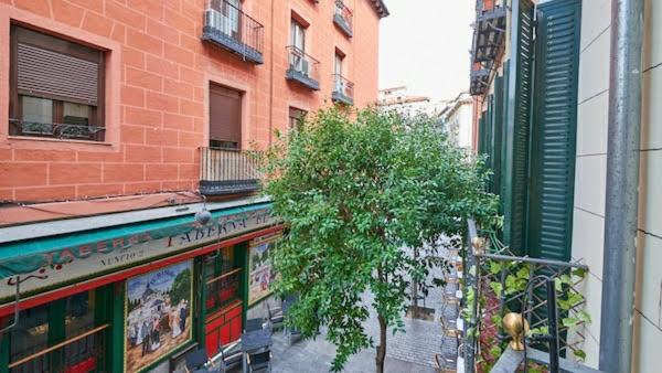 Habitacion Maravillosa En Apartamento Compartido Madrid Centro 外观 照片